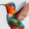 Eine Nahaufnahme einer Socke, auf der ein detailreicher, farbenfroher Kolibri gedruckt ist.